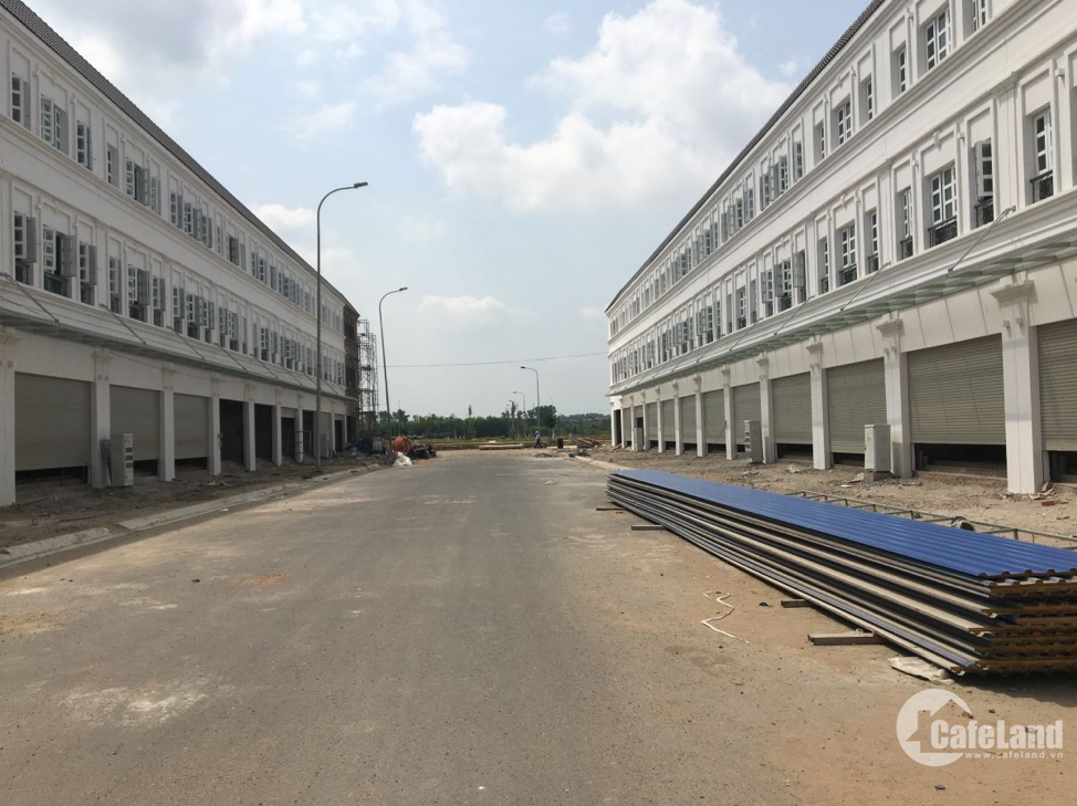 Thăng Long Real và tham vọng ở bất động sản Nhơn Trạch